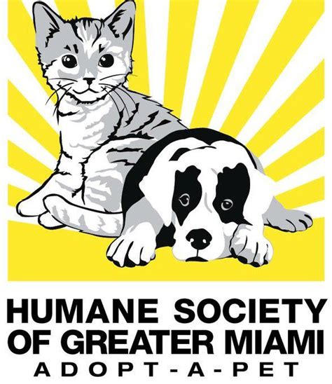 Humane society of greater miami - Humane Society of Greater Miami, North Miami Beach, Florida. 32,528 likes · 271 talking about this · 4,393 were here. The Humane Society of Greater Miami is a limited admit, adoption guarantee... 
